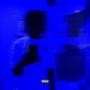 without looking back (Explicit)