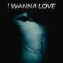 I Wanna Love