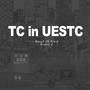 UESTC ganggang.com