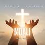 MDALI (feat. Sky Deep SA & SASH DA MUSIQ)