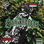 SanAndreas (Explicit)