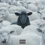 BLACK SHEEP V. The Wolves (Explicit)