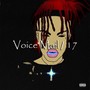 VoiceMail / 17 (Explicit)