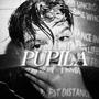 Pupila (Explicit)