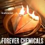 Forever Chemicals