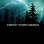 Forest Storm Sounds