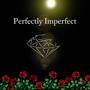 Perfectly Imperfect (feat. Plum) [Explicit]