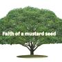 Faith of a mustard seed