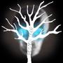 Poison Tree (Explicit)