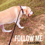 FOLLOW ME