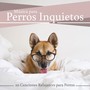 Música para Perros Inquietos: 20 Canciones Relajantes para Perros