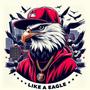 Like a eagle