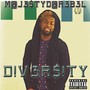 Diversity (Explicit)