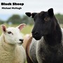 Black Sheep