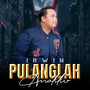 Pulanglah Anakku