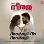 Nerukayil Nin Nerukayil (From 