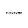 The I'm So Sorry Album (Explicit)