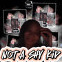 Not a shy kid (Explicit)