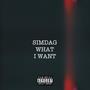 WHAT I WANT (Explicit)