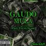 Mula (feat. Young Slash) [Explicit]