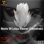 Roots of Lotus Flower