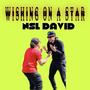 WISHING ON A STAR (Explicit)