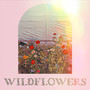 Wildflowers