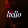 Hello Riddim (Explicit)