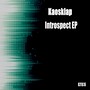 Introspect EP