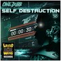 Self Destruction (Explicit)
