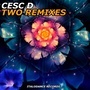 Two (Remixes)