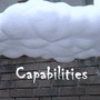 Capabilities