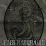 Leyes Naturales (feat. Caporal RB & Dj Jonta) [Explicit]