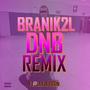 BRANIK2L (DNB REMIX) [Explicit]