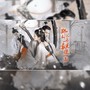 那么就再见最后一面 ——《古相思曲》原创同人曲