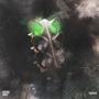 Feelings (Explicit)