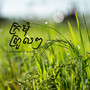 ក្រមុំព្រួលៗ