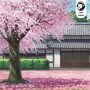 Blossoms & Bamboo