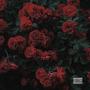 Rose (feat. Daams) [Sped Up] [Explicit]