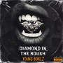 Diamond In The Rough (Explicit)