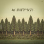 עץ הסודות