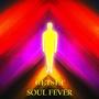 Soul Fever