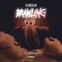 Brawling (feat. SamDan) [Explicit]