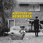 Sleeping in Suburbia (Explicit)