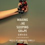 Waking The Sleeping Grape (Original Motion Picture Soundtrack)