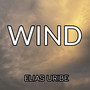 Wind