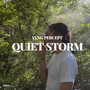 Quiet Storm (Explicit)