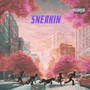 sneakin (feat. Malik Daniel) [Explicit]