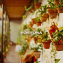 Fortuna (Explicit)