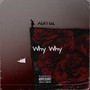 Why Why (Explicit)